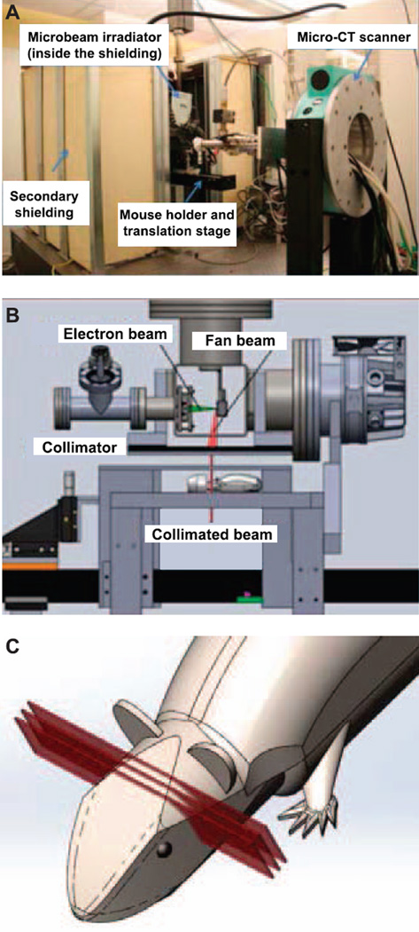 FIG. 1