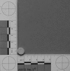Fig.1