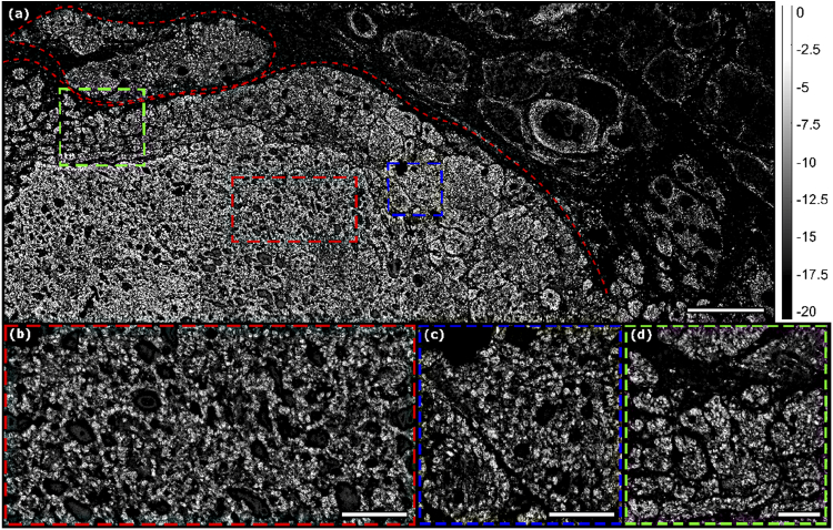 Fig. 5.