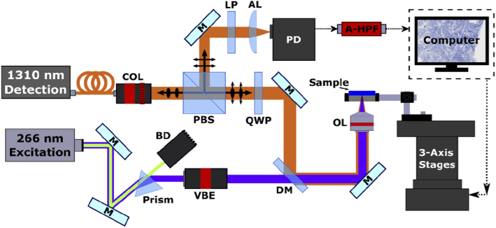 Fig. 1.