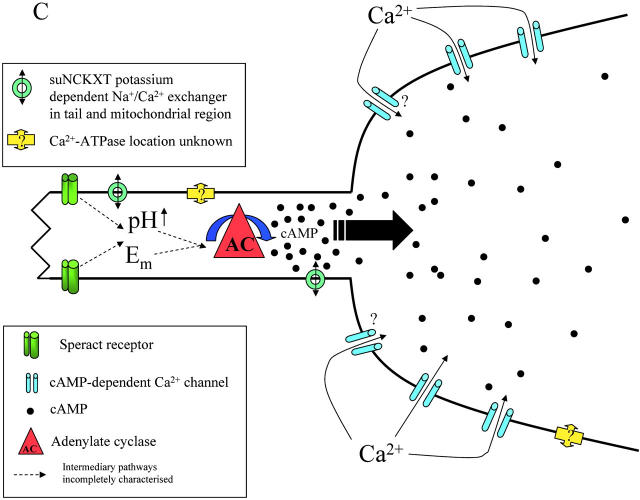 Figure 10.