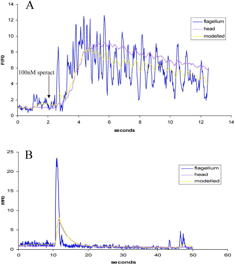 Figure 10.