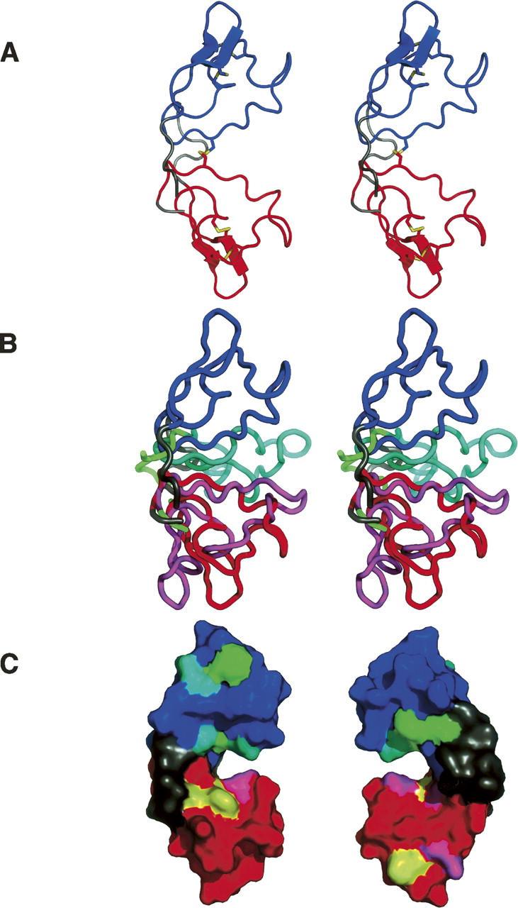 Figure 2.