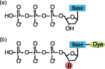 Fig. 8