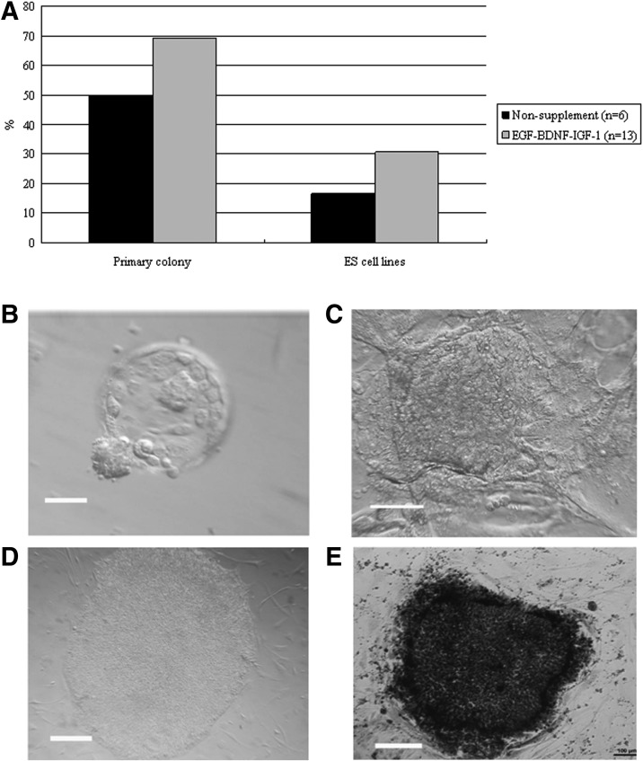 FIG. 5.