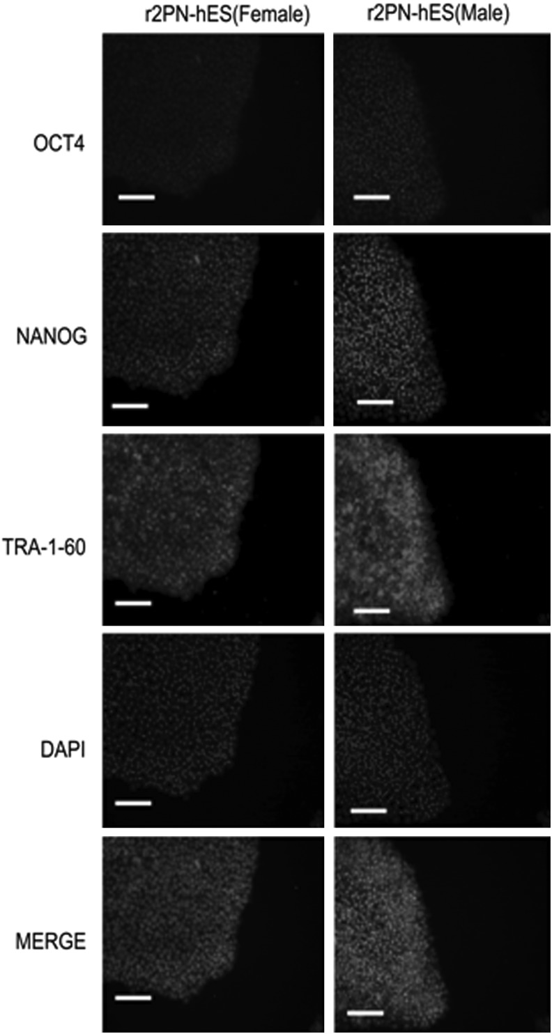 FIG. 6.