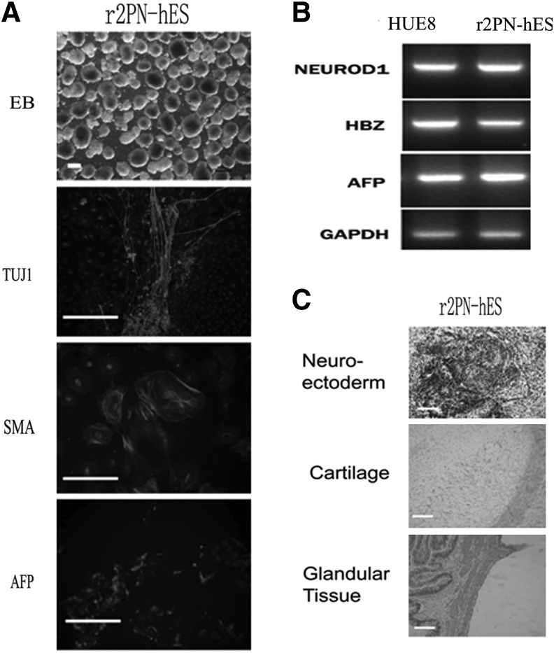 FIG. 8.