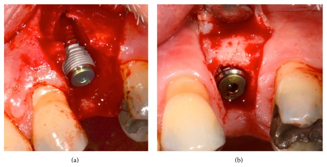 Figure 5