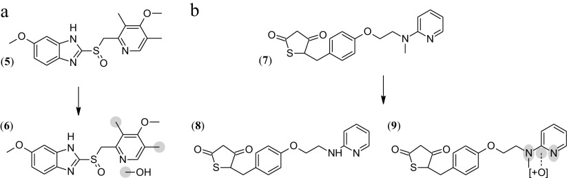 Scheme 3