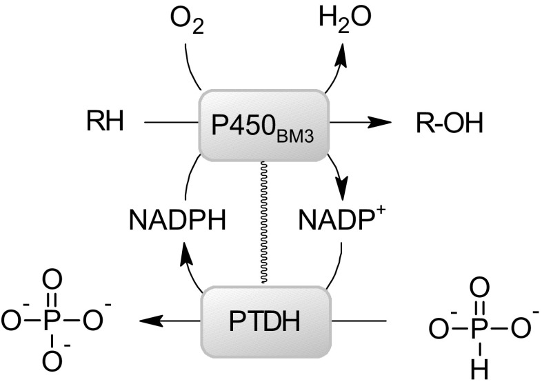 Scheme 1