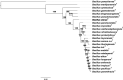 FIG 1