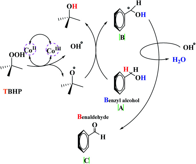 Scheme 4