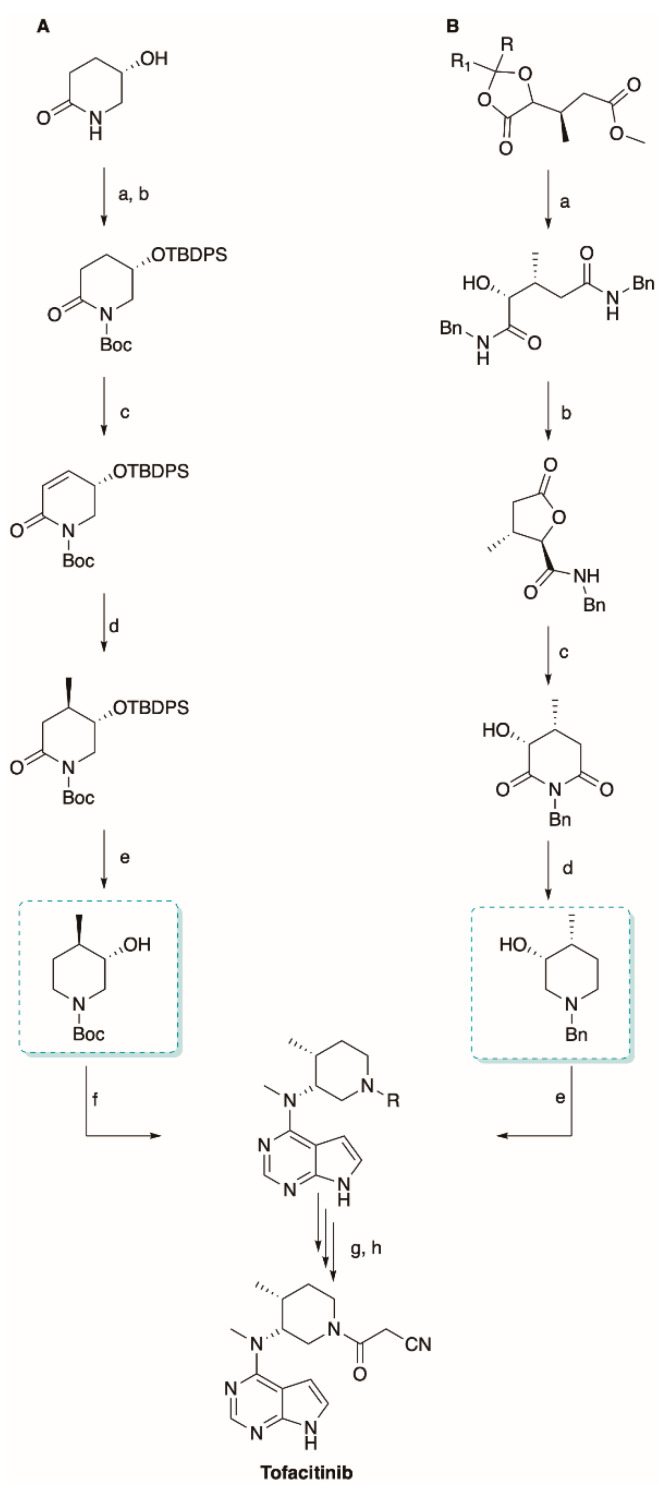 Scheme 5