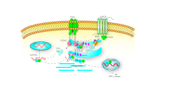 Figure 2.