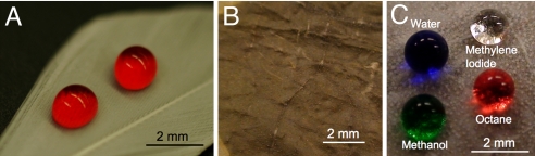 Fig. 3.