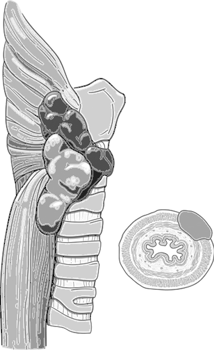 FIG. 5.