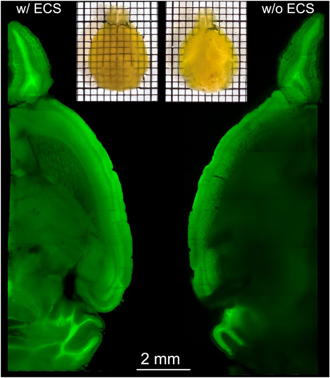 Figure 4