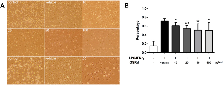 Fig. 6