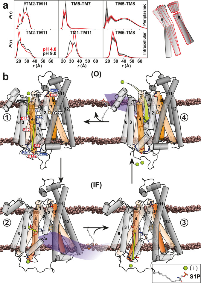 Fig. 10