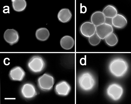 FIG. 6.