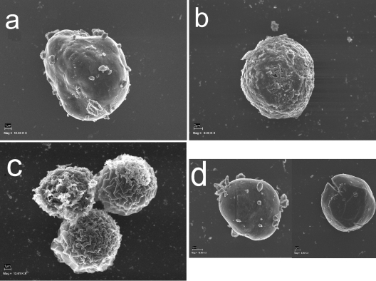 FIG. 7.