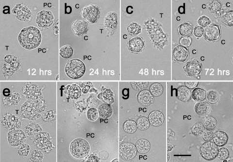 FIG. 4.