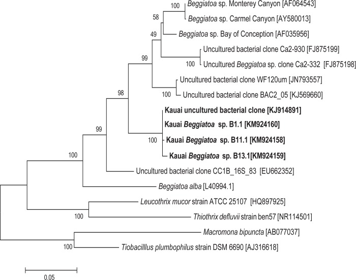 Fig 6