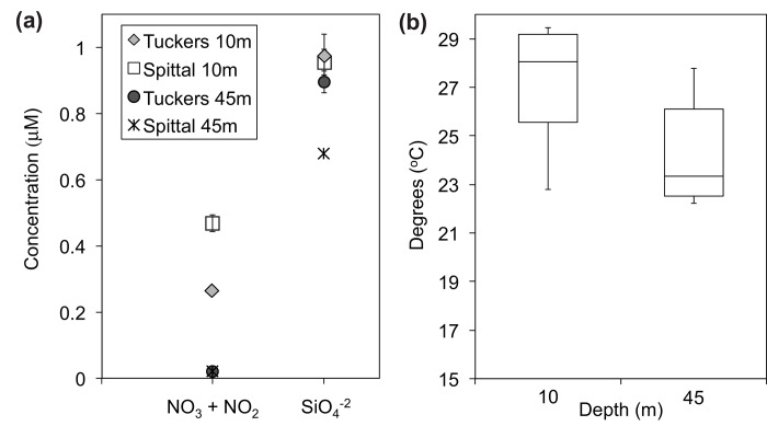 Fig 7