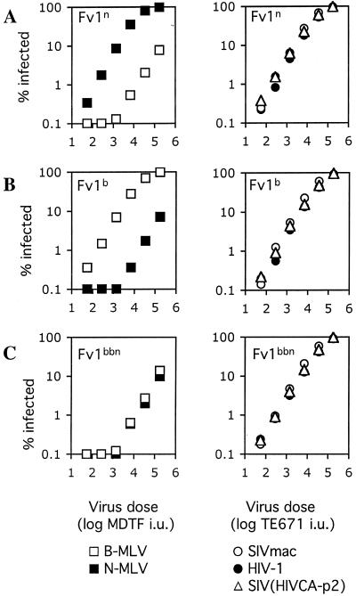 FIG. 5.