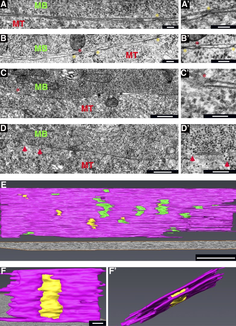 Figure 5.