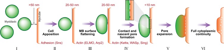 Figure 7.