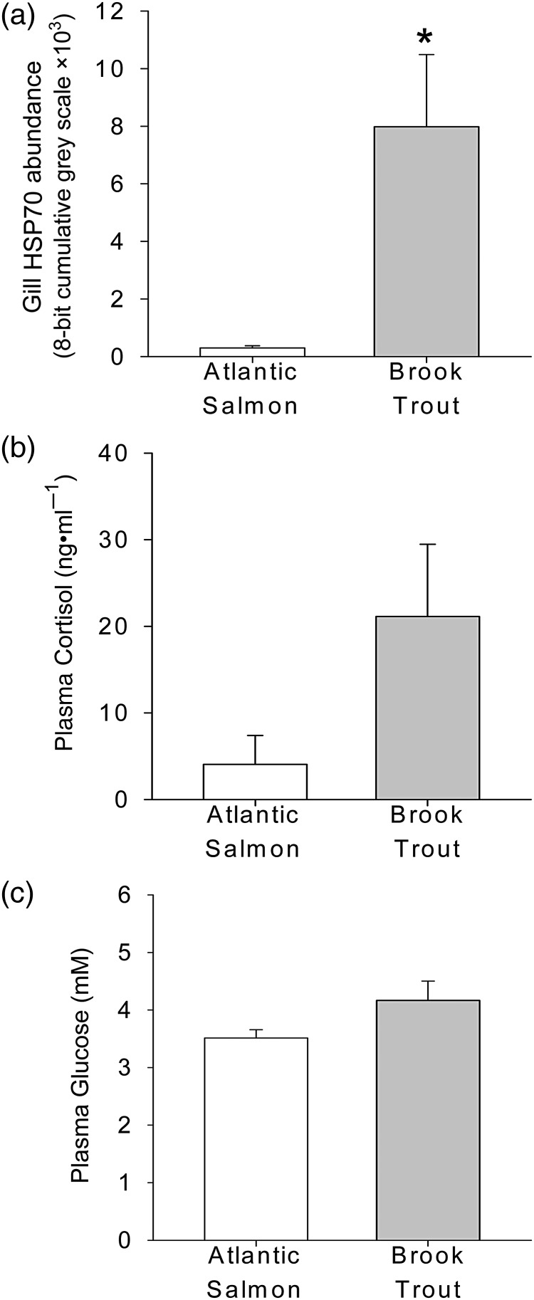 Figure 4: