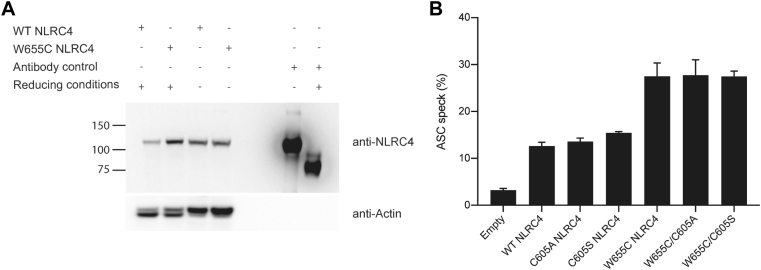 Fig E4