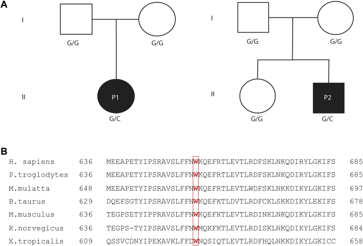 Fig 3