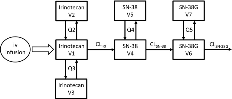 Fig. 5