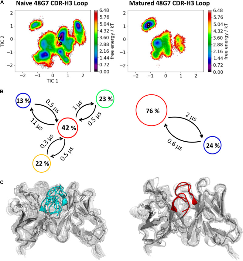 FIGURE 6