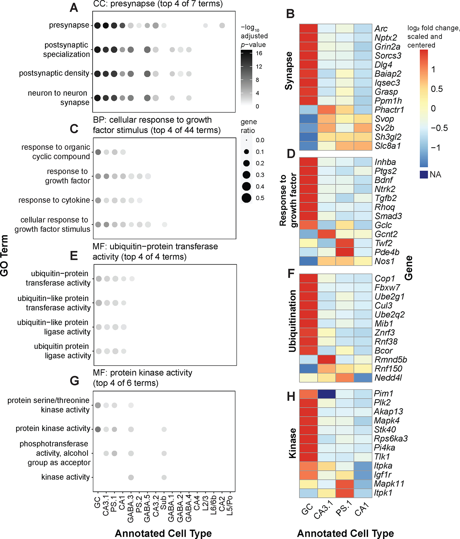 Figure 4: