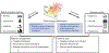Fig. 6 |