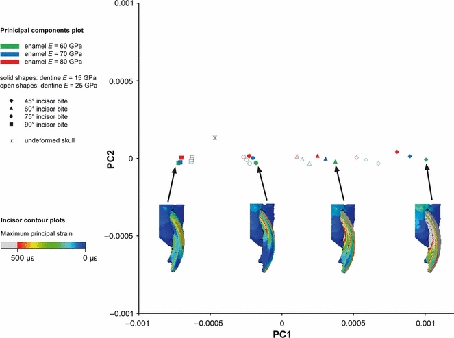 Fig. 10