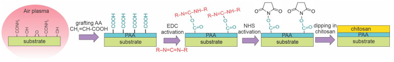 Figure 12