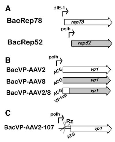 FIG. 3