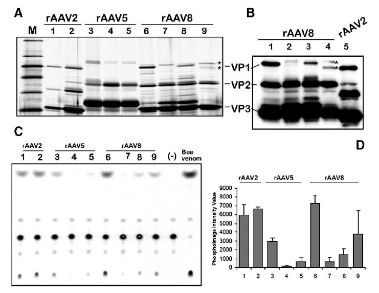 FIG. 7