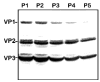 FIG. 6