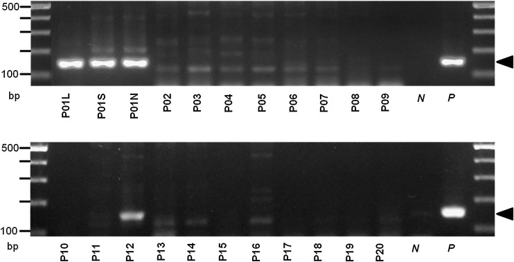 FIG. 5.