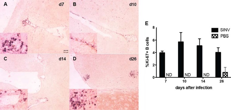 Fig 5