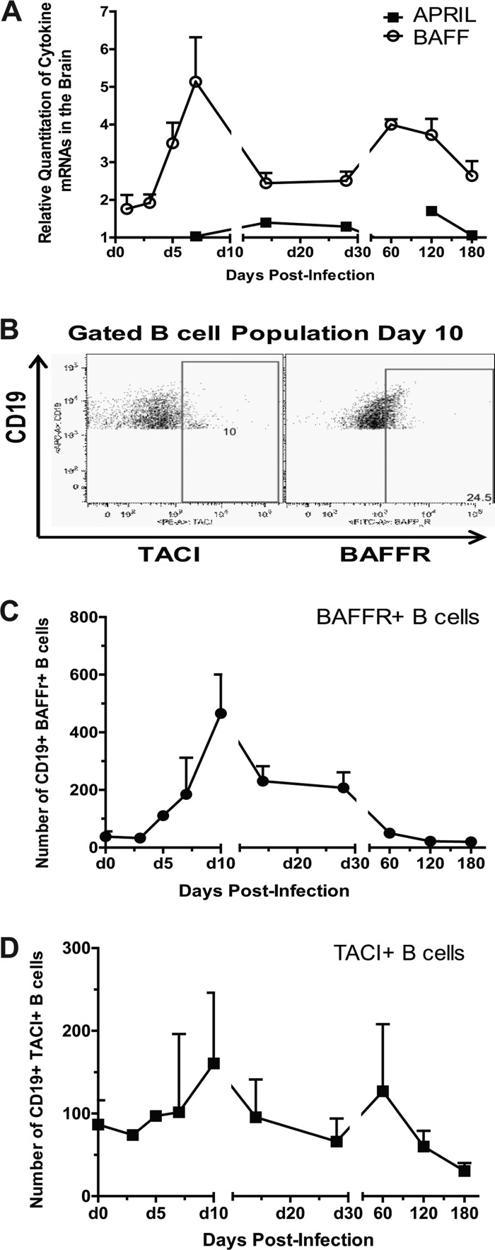 Fig 8