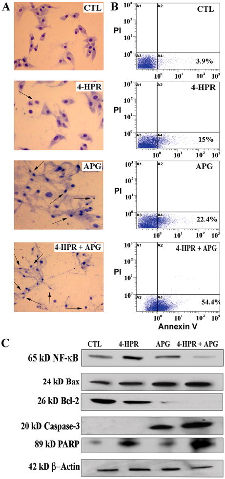 Fig. 4