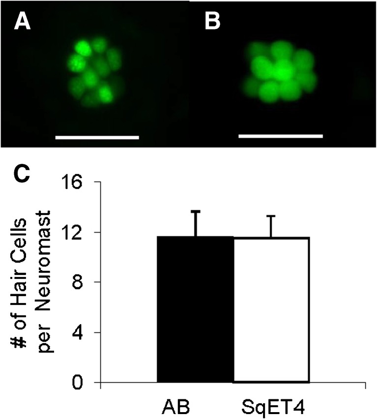 FIG. 8