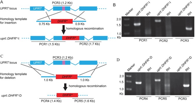 FIG 2 