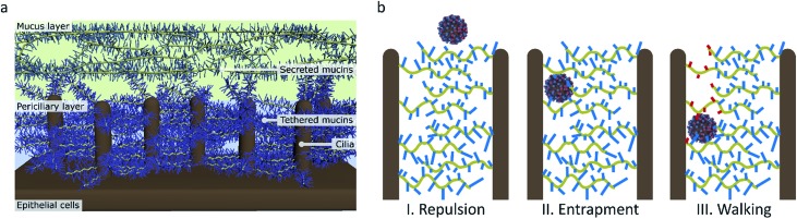 Fig. 9